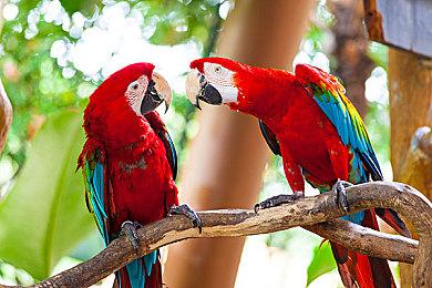 自制项目《空降区》忠实还原《光环3：ODST》场景